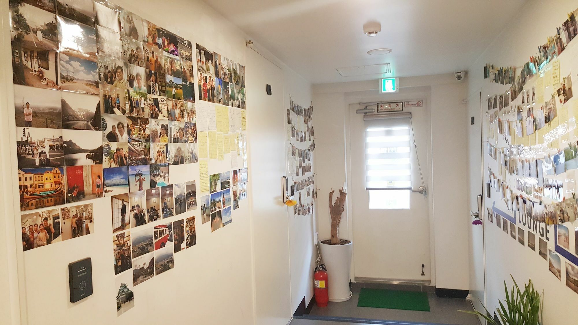 K-Guesthouse Insadong 2 Myeongdong Seoul Eksteriør billede